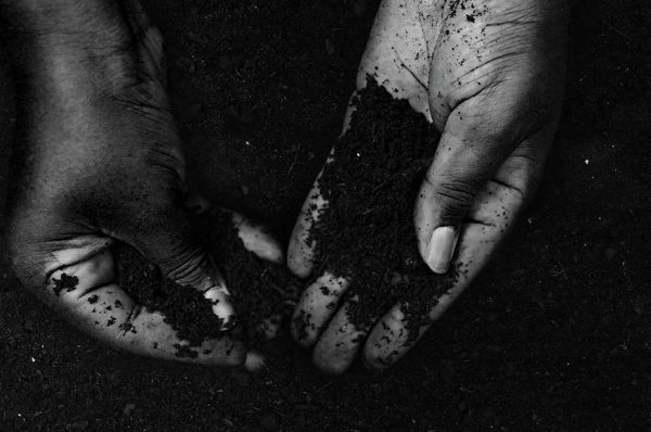 Lançamento do documentário “Mulheres do Ayê: saberes ancestrais através das ervas”, com Coletivo Onilé