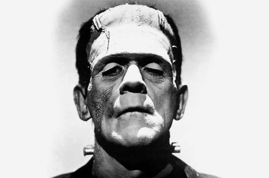 Frankenstein, crônicas de uma Criatura Atormentada