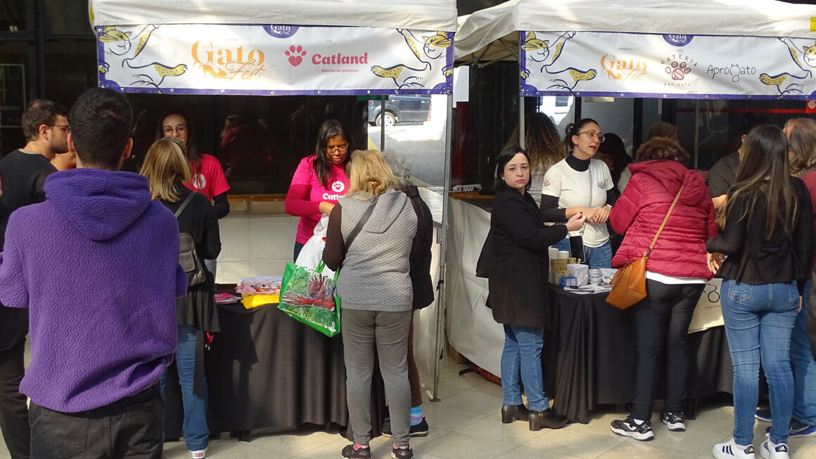 1º GatoFest é sucesso absoluto de público no CCSP