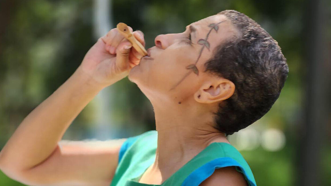 Mostra Lizette Negreiros: O quintal é nosso mundo com Denise Araújo e Thiago Freitas