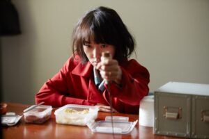 Alice no País da Diligência