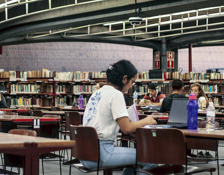 ilustra-biblioteca-3