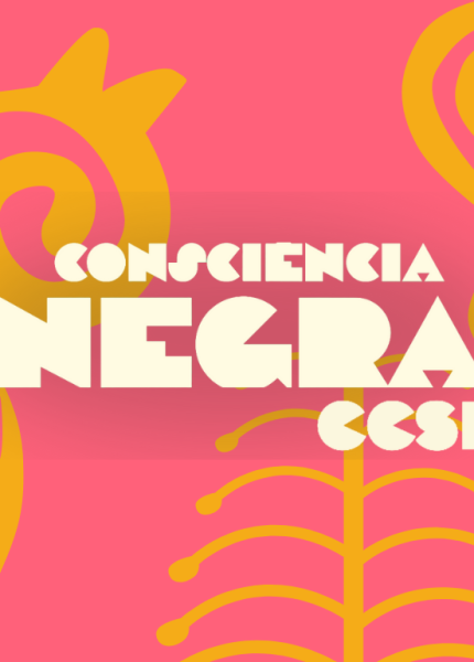 Cópia de Infográfico do Zumbi de Palmares Infográfico das leis Capa da matéria (2)