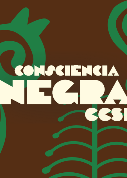 Cópia de Infográfico do Zumbi de Palmares Infográfico das leis Capa da matéria (3)