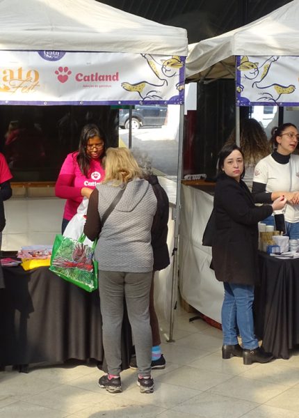 NOTICIA-gatofest-capa