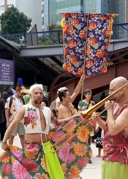 POST-sainha-de-chita-capa