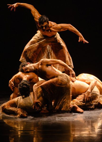 Espetáculo "Ateliê de Criação 2026" com São Paulo Companhia de Dança