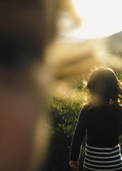 POST-solares-fabio-mattos